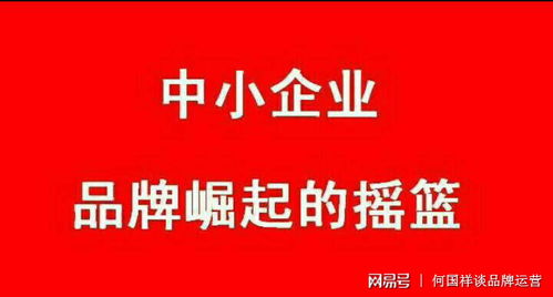 企业品牌营销应该怎么样才能做好 何国祥谈品牌运营