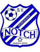 诺奇体育俱乐部队徽